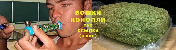 spice Верея