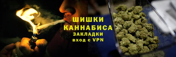 стаф Бородино