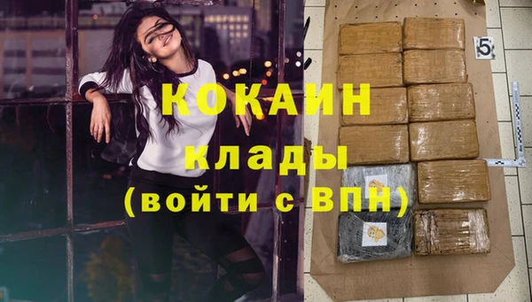 spice Верея