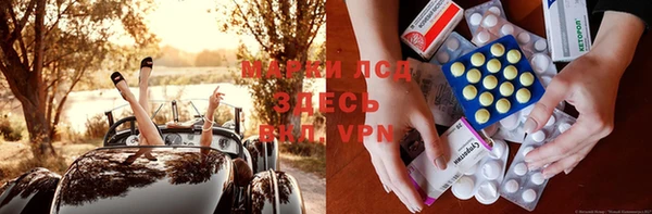 spice Верея