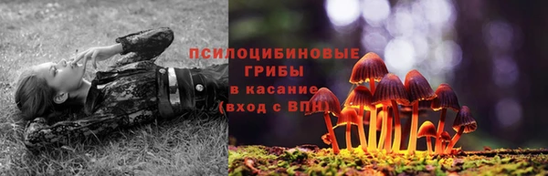 не бодяженный Няндома
