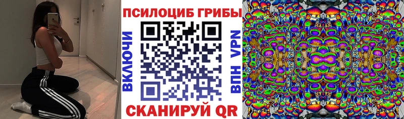 Галлюциногенные грибы Cubensis  хочу   Петровск-Забайкальский 